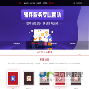 上海搜有信息技术有限公司 	-定制软件开发服务商